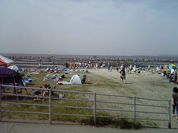 08040902.jpg