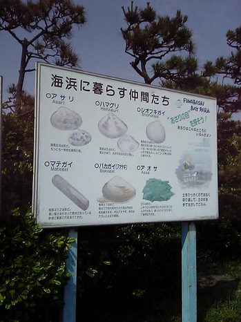 08040903.jpg