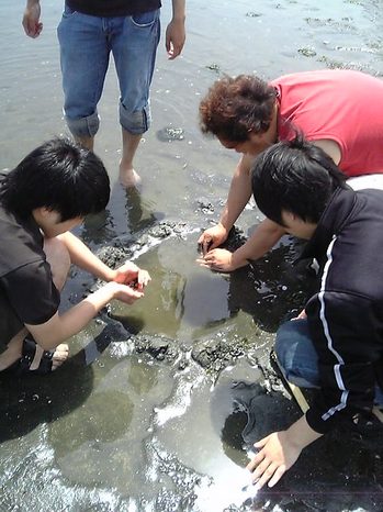 08040910.jpg