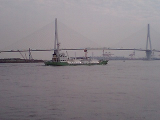 HI380472.JPG