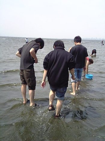 08040905.jpg
